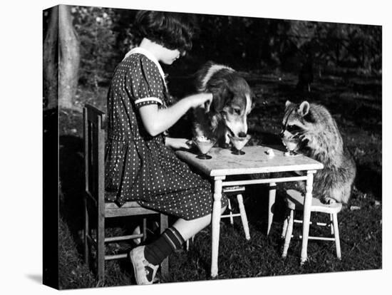 Claire Shorrock Giving Ice Cream Party with Pet Dog and Raccoon-null-Premier Image Canvas