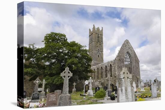Claregalway Franciscan Friary, Near Galway, County Galway, Connacht, Republic of Ireland-Gary Cook-Premier Image Canvas