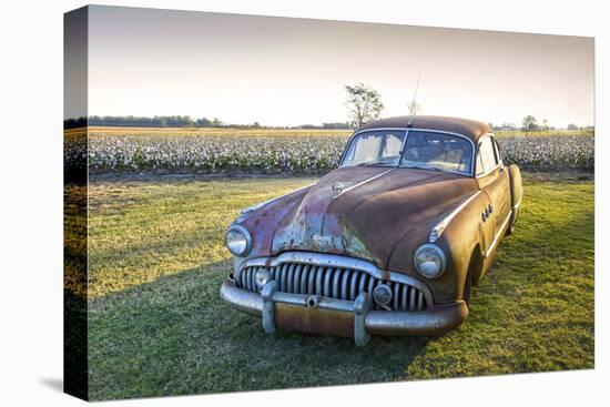 Clarksdale, Mississippi, Cotton Field, Vintage Buick Super (1950)-John Coletti-Premier Image Canvas