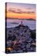 Classic Coit Tower After Sunset, San Francisco, Cityscape, Urban View-Vincent James-Premier Image Canvas