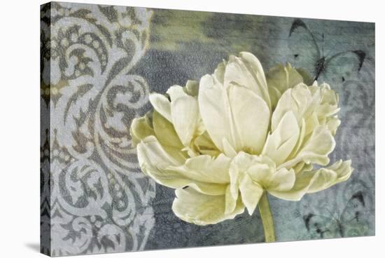 Classic Double White Tulip Ii-Cora Niele-Stretched Canvas