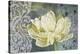 Classic Double White Tulip Ii-Cora Niele-Stretched Canvas