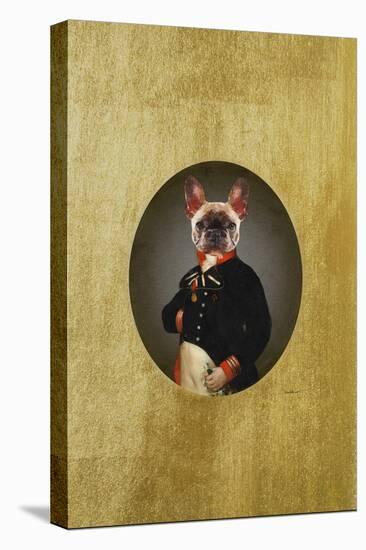 Classic Frenchie-Amanda Greenwood-Stretched Canvas