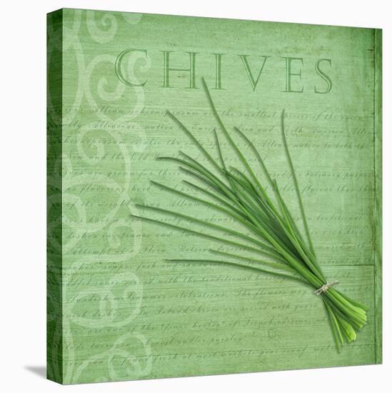 Classic Herbs Chives-Cora Niele-Stretched Canvas