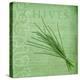 Classic Herbs Chives-Cora Niele-Stretched Canvas