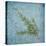Classic Herbs Rosemary-Cora Niele-Stretched Canvas