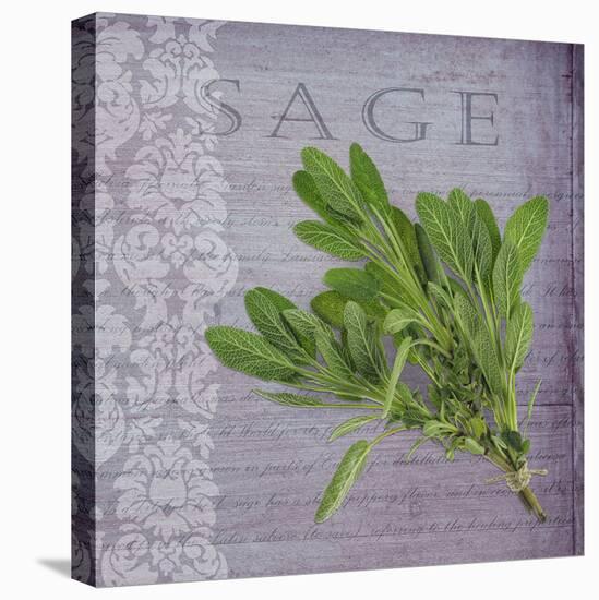 Classic Herbs Sage-Cora Niele-Stretched Canvas
