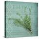 Classic Herbs Thyme-Cora Niele-Stretched Canvas