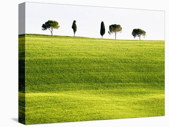 Classic Tuscan Landscape, Near San Quirico, Valle De Orcia, Tuscany, Italy-Nadia Isakova-Premier Image Canvas