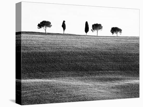 Classic Tuscan Landscape, Near San Quirico, Valle De Orcia, Tuscany, Italy-Nadia Isakova-Premier Image Canvas