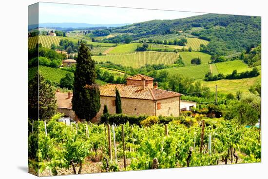 Classic Tuscan Landscape-Jeni Foto-Premier Image Canvas