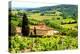 Classic Tuscan Landscape-Jeni Foto-Premier Image Canvas