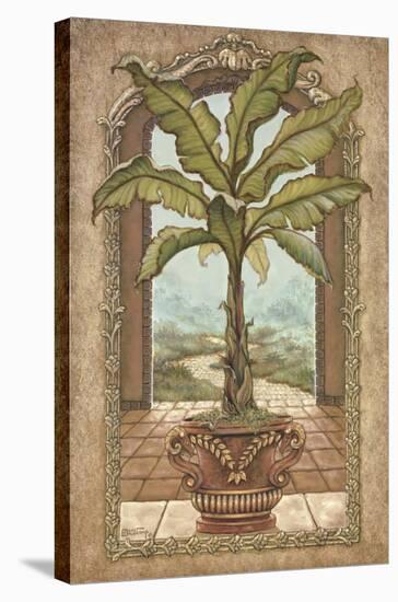 Classical Banana Tree-Janet Kruskamp-Stretched Canvas