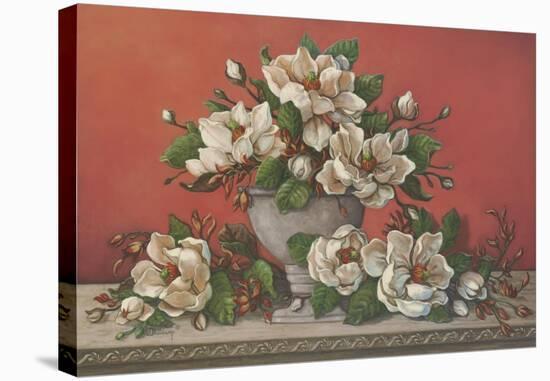 Classical Magnolia II-Janet Kruskamp-Stretched Canvas