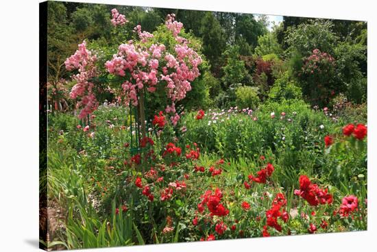 Claude Monet's Garden in Giverny, Department of Eure, Upper Normandy, France-null-Stretched Canvas