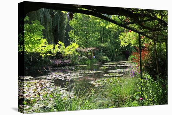 Claude Monet's Water Garden in Giverny, Department of Eure, Upper Normandy, France-null-Stretched Canvas