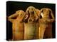 Clay Statuettes of Mourner, Bahariya Museum, Bahariya Oasis, Valley of the Golden Mummies, Egypt-Kenneth Garrett-Premier Image Canvas