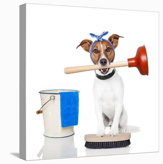 Cleaning Dog-Javier Brosch-Premier Image Canvas