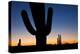 Clear Saguaro Sunset I-Larry Malvin-Premier Image Canvas