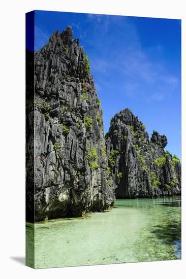 Clear Water in the Bacuit Archipelago, Palawan, Philippines-Michael Runkel-Premier Image Canvas