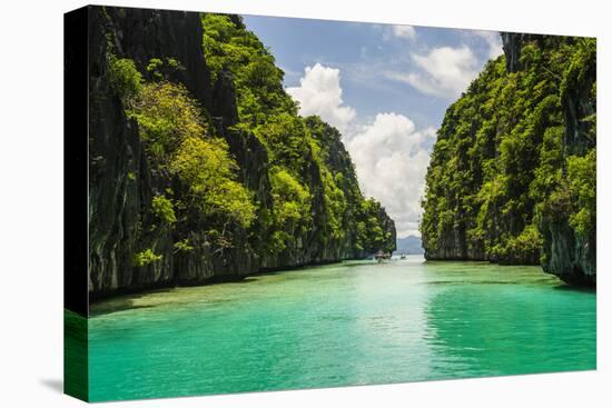 Clear Water in the Bacuit Archipelago, Palawan, Philippines-Michael Runkel-Premier Image Canvas