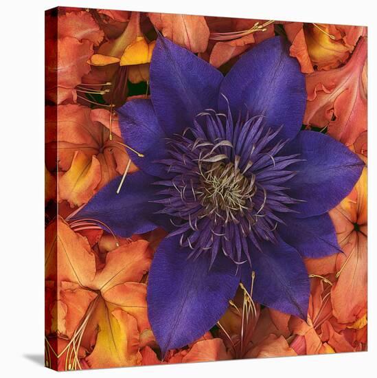 Clematis and Azeleas-null-Stretched Canvas