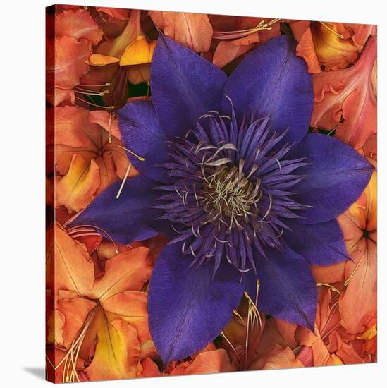 Clematis and Azeleas-null-Stretched Canvas