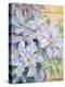 Clematis, the President-Karen Armitage-Premier Image Canvas