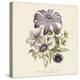 Clematis-19th Century English School-Stretched Canvas