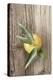Clementine with Leaves on Wood-Nikky-Premier Image Canvas