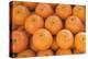 Clementines (Full-Frame)-Foodcollection-Premier Image Canvas