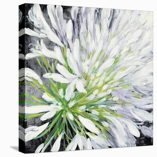 Cleome Splash II Black-Julia Purinton-Stretched Canvas