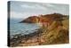 Clevedon, Lady's Bay-Alfred Robert Quinton-Premier Image Canvas