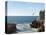 Cliff Diver Diving From El Mirador at Paseo Claussen, Mazatlan, Mexico-Charles Sleicher-Premier Image Canvas