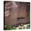 Cliff Dwellings under the Rock Face in the Canyon De Chelly, Arizona, USA-Tony Gervis-Premier Image Canvas