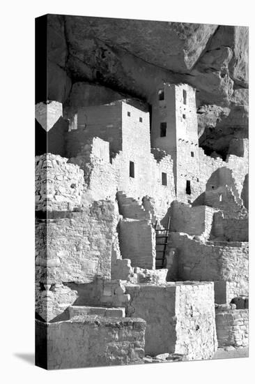 Cliff Palace Detail IV BW-Douglas Taylor-Premier Image Canvas