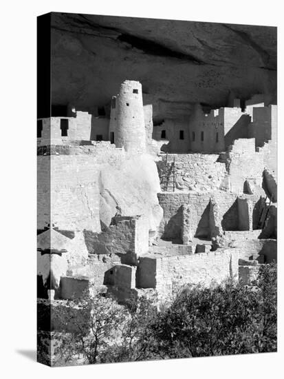 Cliff Palace Pueblo Portrait BW-Douglas Taylor-Premier Image Canvas