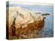 Cliff Rock Appledore (Isles of Shoals, Maine)-Childe Hassam-Premier Image Canvas