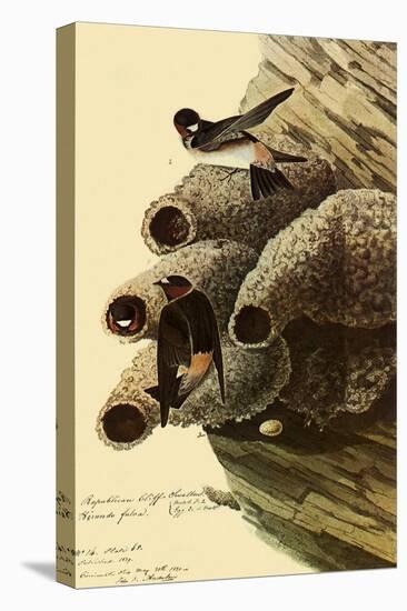 Cliff Swallows-John James Audubon-Premier Image Canvas