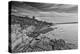 Cliff Walk Newport Rhode Island B/W-null-Stretched Canvas