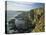 Cliffs at Mizen Head, County Cork, Munster, Republic of Ireland,Europe-David Hughes-Premier Image Canvas