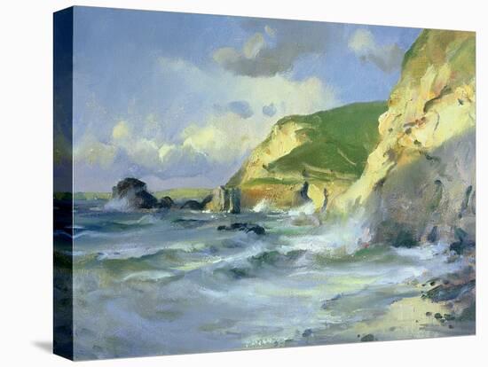 Cliffs at St. Agnes-Trevor Chamberlain-Premier Image Canvas