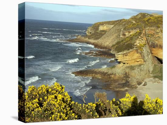 Cliffs Near Findhorn on the Morayfirth, Scotland, United Kingdom, Europe-David Lomax-Premier Image Canvas