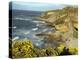 Cliffs Near Findhorn on the Morayfirth, Scotland, United Kingdom, Europe-David Lomax-Premier Image Canvas