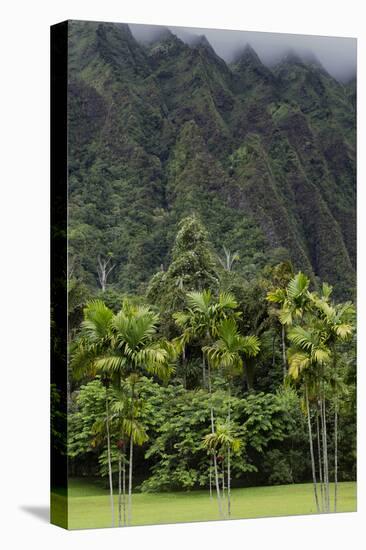 Cliffs of Koolau Mountains Above Palm Trees, Oahu, Hawaii, USA-Charles Crust-Premier Image Canvas