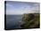 Cliffs of Moher, County Clare, Munster, Republic of Ireland, Europe-Oliviero Olivieri-Premier Image Canvas