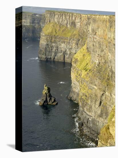 Cliffs of Moher, County Clare, Munster, Republic of Ireland-Gary Cook-Premier Image Canvas