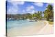 Clifton Harbour, Union Island, The Grenadines, St. Vincent and The Grenadines-Jane Sweeney-Premier Image Canvas