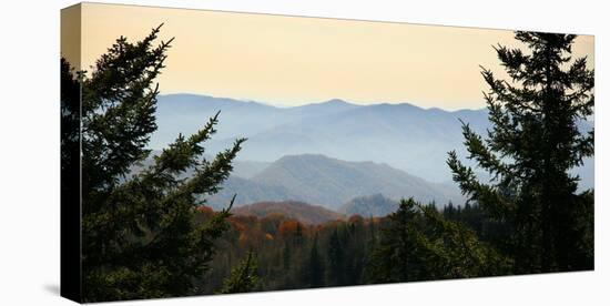 Clingmans Dome panorama, Smoky Mountains National Park, Tennessee, USA-Anna Miller-Premier Image Canvas