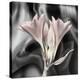 Clivia Pastel-Scott Peck-Stretched Canvas